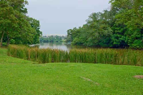 chinese gardens nature grass trees bushes green lake water reflections flora park recreation clouds sky grey sony alpha 77 slt dslr singapore southeast asia