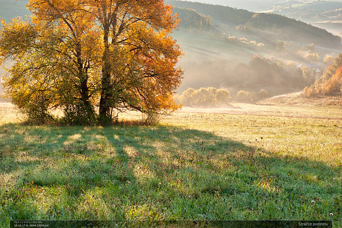 kudlov czech landscape village trees meadow field morning autumn