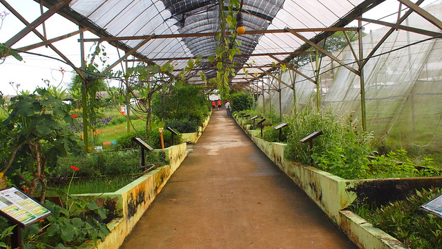 Kluang Zenxin Organic Park