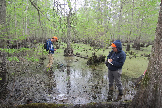 image of field work 