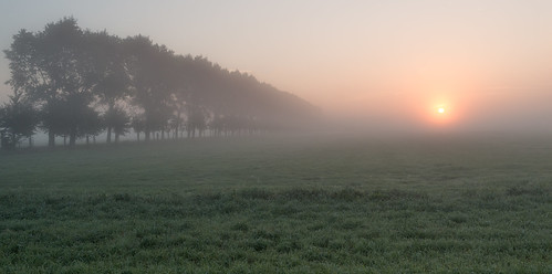 middendelfland field grass htmt sun sundawn sunrise treemendoustuesday trees