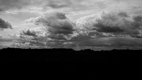 blackandwhite bw monochrome 1v2 nikon1v2 v2 2014 autumn fall colors woodland cloud fields 2565 october nikon michigan barrycounty sky onthisdate 279366