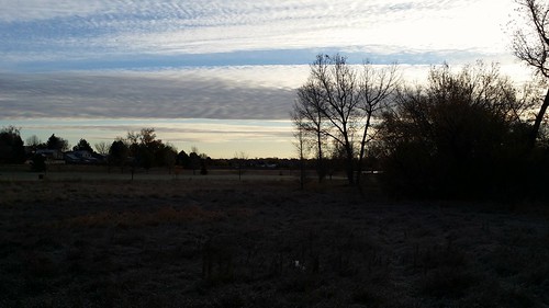 #tommw 24F mostly cloudy. Light breeze