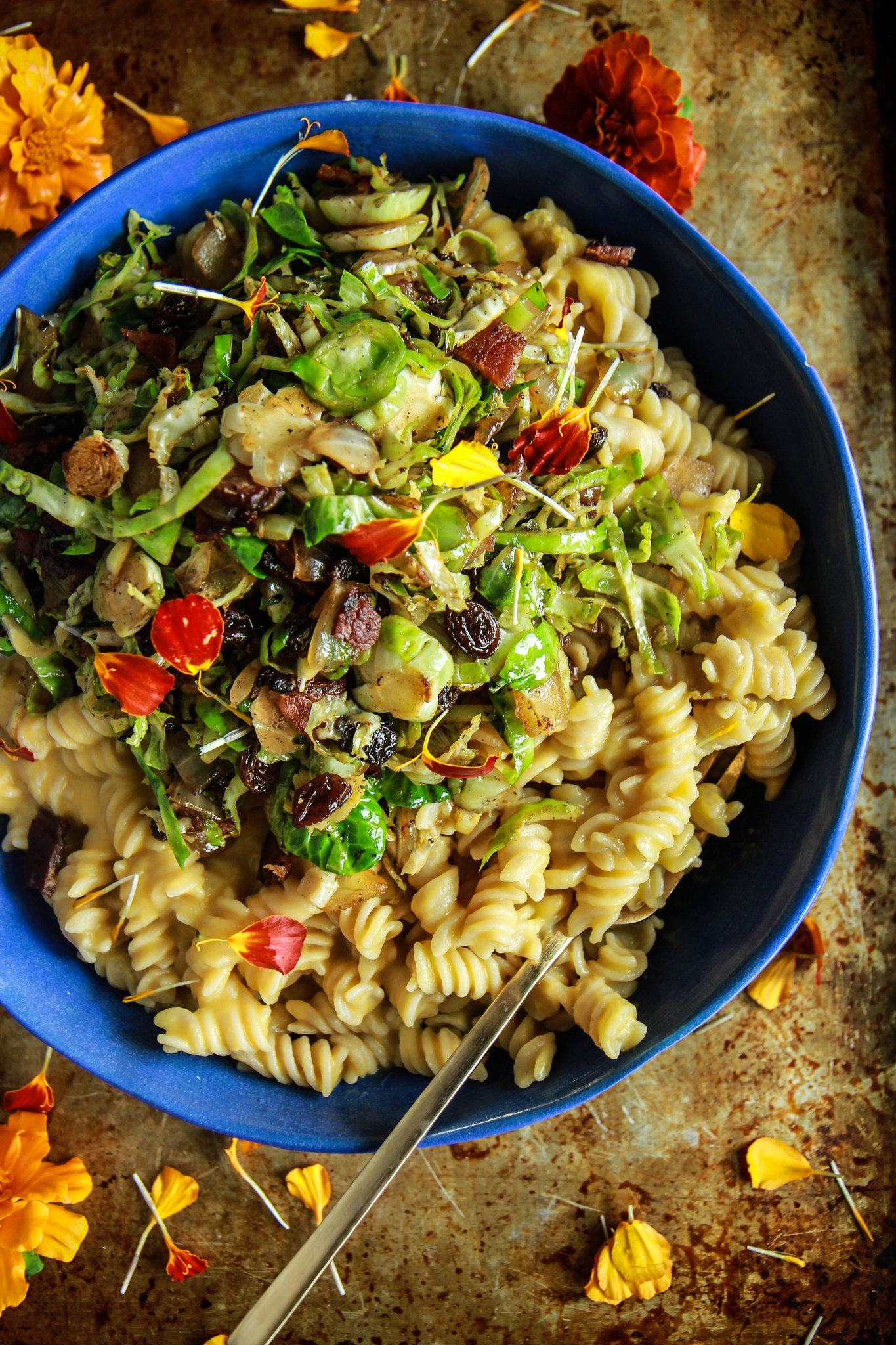 Creamy Butternut Squash Pasta with Shredded Brussles Sprouts, Bacon and Raisins