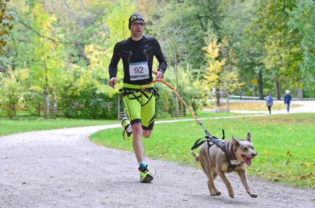 TRÉNINK: Běh bez námahy? Zapřáhněte psa