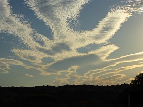 clouds skeleton sunset pattern puffy ribbed sky