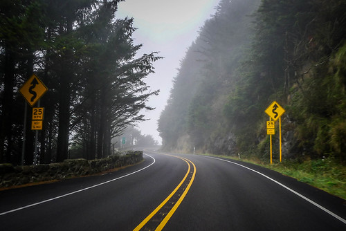 Oregon Coast Road in Fog
