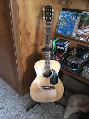 New(ish) Alvarez Guitar