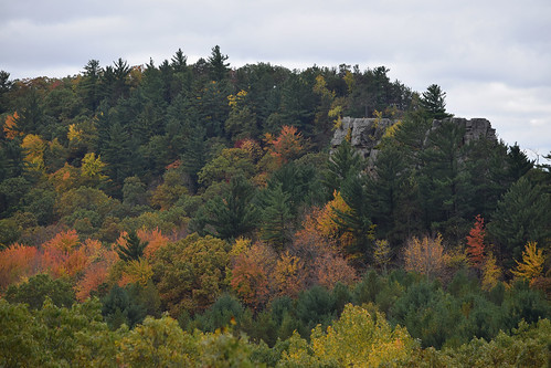 millbluff camelsbluff millbluffstatepark wisconsin monroecounty landscapes trees leaves cliffs sandstone october