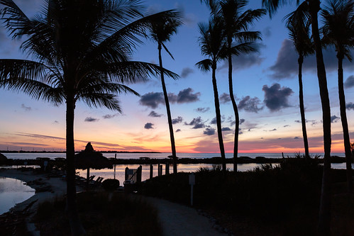 atlanticocean clouds colors duckkey florida floridakeys marginalsea morning palmtree sky sunrise