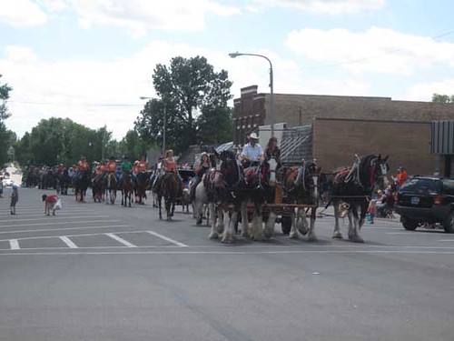 horses people northdakota piercecountynd rugbynd parades paradefloats
