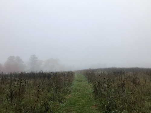 foggy fall morning