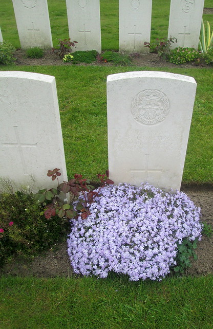 Planting, Poelcapelle War Cemetery