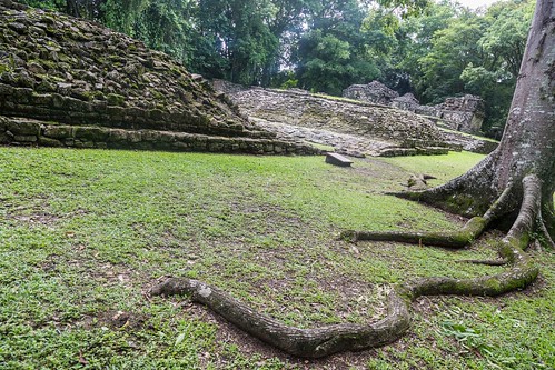 maya mexico yaxchilán jungle ruins mx