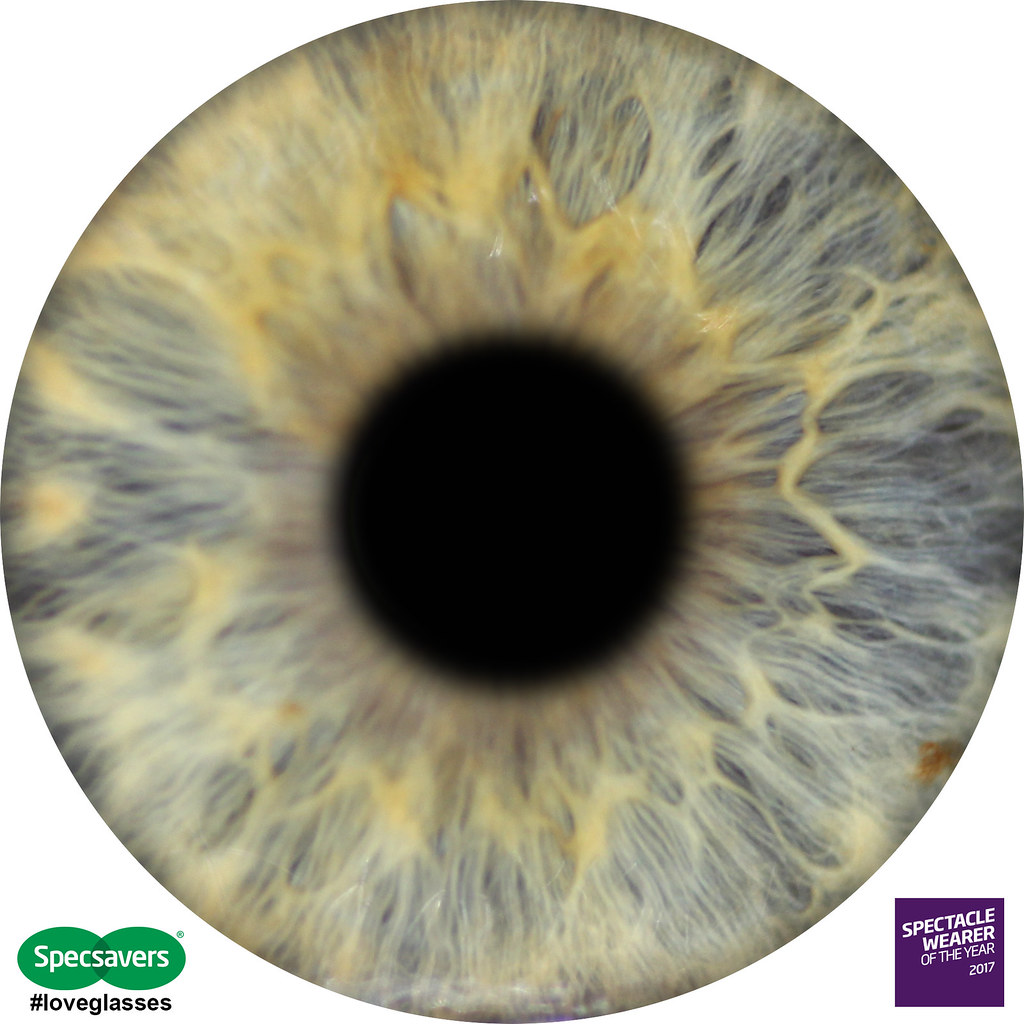 EYECONARTists EYECON eye iris close-up picture | Not Dressed As Lamb