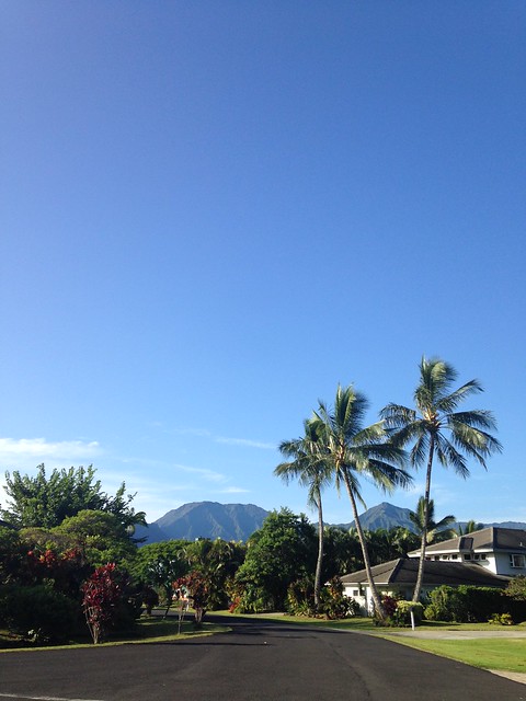 First days in Kauai