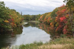 Fall Foliage at Wrights Creek