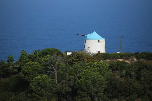 portugal nazaré centre moulins architecture windmills paysages landscapes atlantique océan forêt nature arbres trees forest