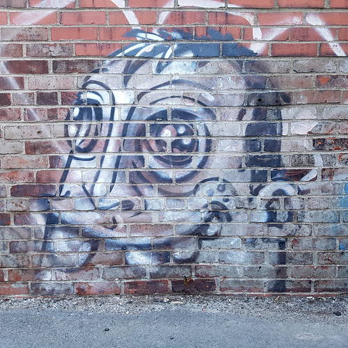 Funny Faces - Halifax Graffiti