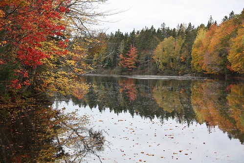 victoriacross pei canada autumn fall leaves foliage reflection dam water colors
