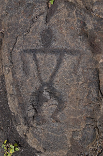 163 Pu'u Loa Petroglyphs
