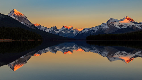 autumn malignemountain canadianrockies landscape sunset sigma dslr reflection mountains outdoor canon fall 24105 smooth alpenglow 6d jasper queenelizabethranges malignelake clear forest calm lake rockymountains canada sigma24105 jaspernationalpark canon6d mountain alberta ca snow sky water serene