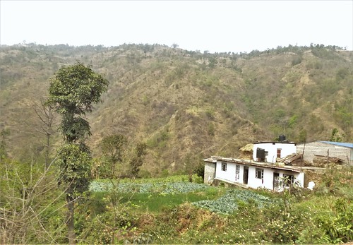 n-Dumre-Katmandou-rizières (10)
