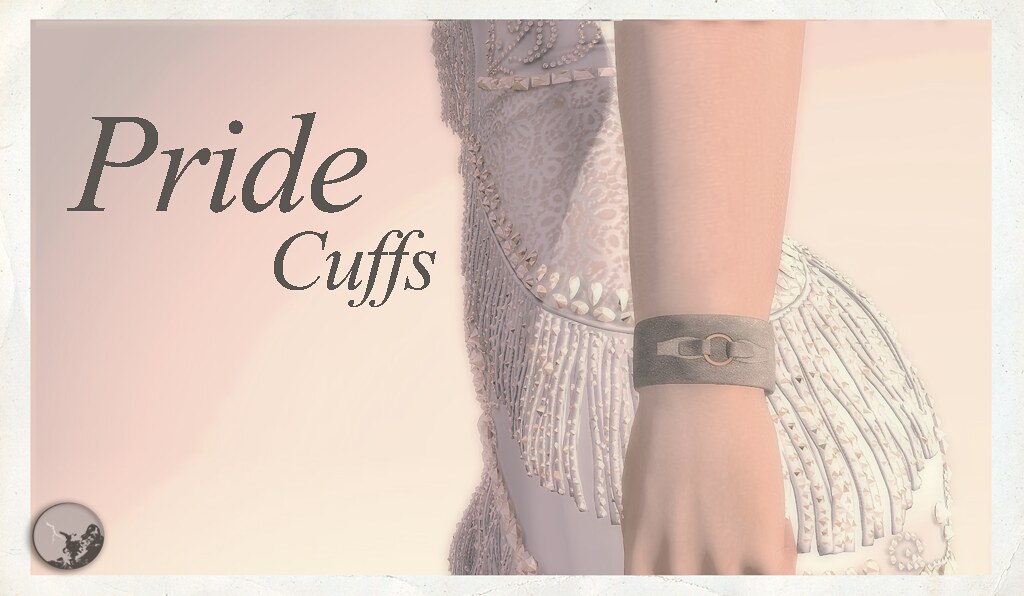 Pride cuffs @ The Chapter4