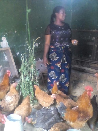 Rhoda Mwile as she explains how she manages the chickens (photo credit: ILRI)