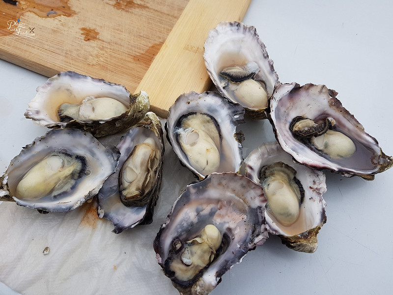 tasmania seafood seduction cruise fresh oysters
