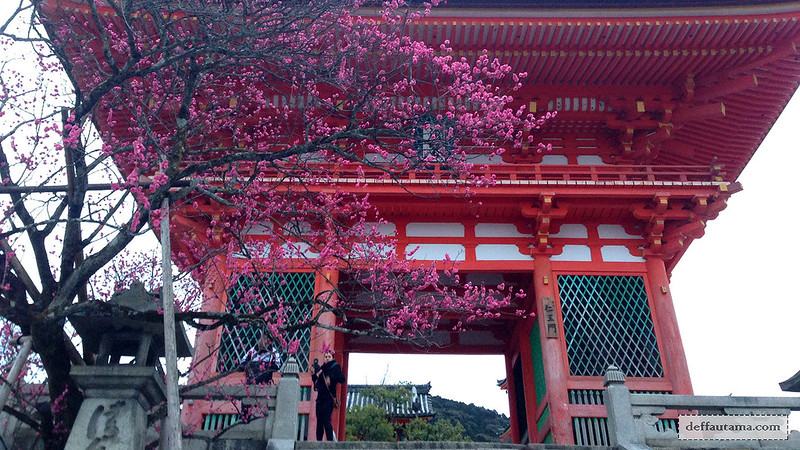 3 Hari Keliling Kyoto - Kiyomizu Dera 3