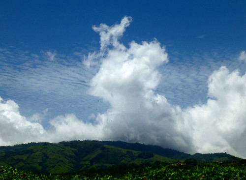 clouds nwn costarica