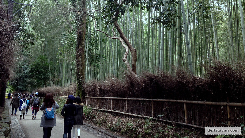 3 Hari Keliling Kyoto - Bamboo Grove 1
