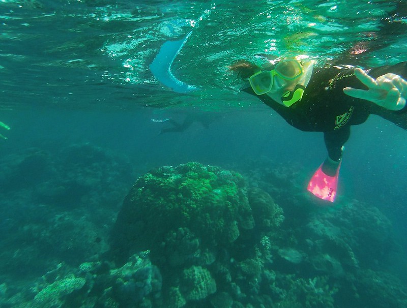 La Gran Barrera de Coral - AUSTRALIA POR LIBRE: EL PAÍS DEL FIN DEL MUNDO (4)