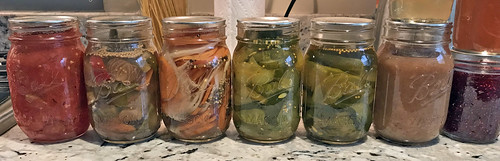 pickle and jam jars IMG_0588