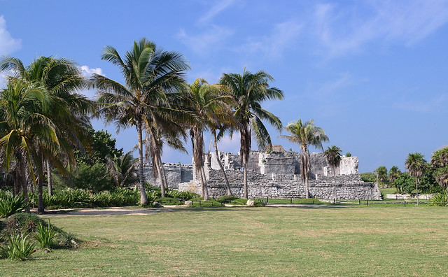 De playas, cenotes y ruinas mayas de rebote - Blogs de Mexico - TULUM, PLAYA PARAÍSO, GRAN CENOTE Y COBÁ (2)