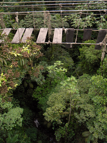 An old suspension bridge along the jungle trail of Hanging Bridges near Arenal Volcano in Costa Rica