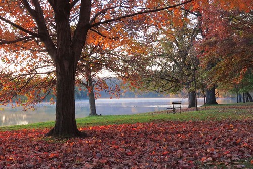 dixon illinois lowellpark autumn fall outdoors nature leaves color red bench river canon landscape