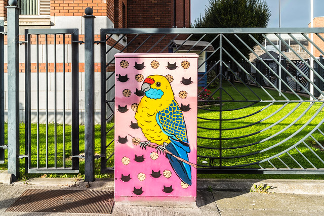 Photo：LUCKY COOKIE BY CHRIS CRAIG [ DUBLIN CANVAS PROGRAMME ]-132981 By infomatique