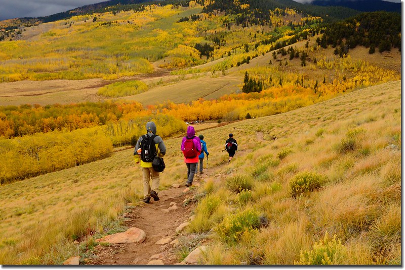 Colorado Trail (19)