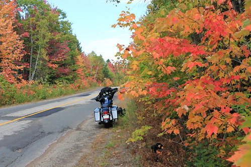 Fall Ride