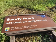 Sandy Point NWR