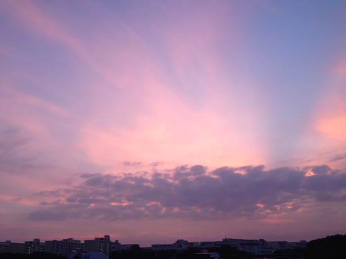 Purple Sky at Dawn