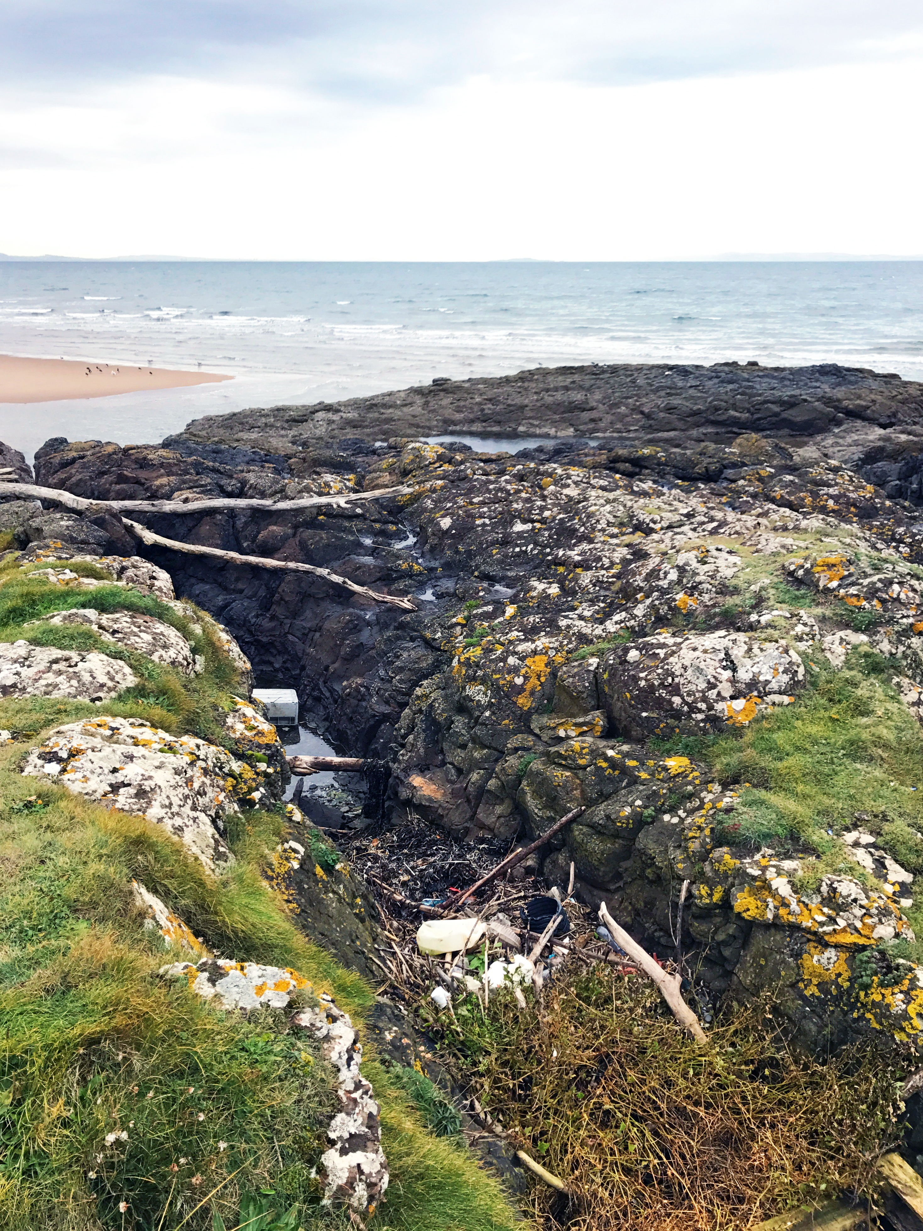 Plastic washed up on Aberlady Bay, Midlothian