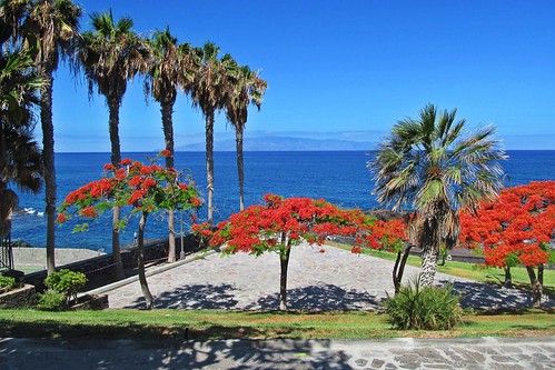 tenerife lagomera puertodesantiago island ocean trees palms water view travels canaryislands spain landscape