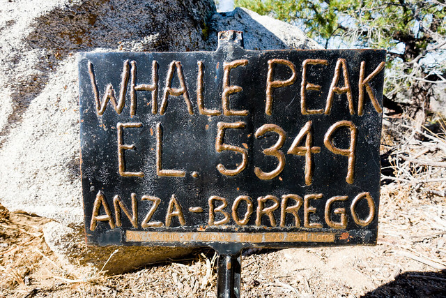 Whale Peak summit