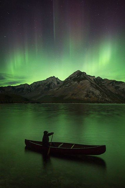 "Voyageur" One more from this week's wonderful aurora show! Just what we do every night up here in the Great White North. 😜 Hope you all have an adventurous weekend! Lake Minnewanka, Banff National Park.
