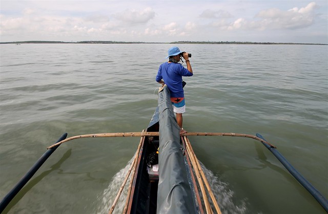 Searching for Irrawaddy Dolphins