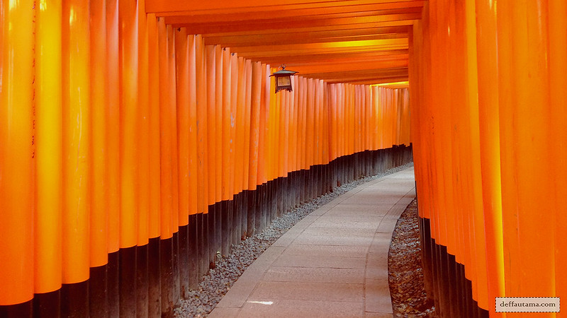 3 Hari Keliling Kyoto - Fushimi Inari 2