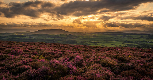 sunset sun vista d750 landscape britain heather purple stiperstones shropshire sky sunlight hills panorama uk clouds